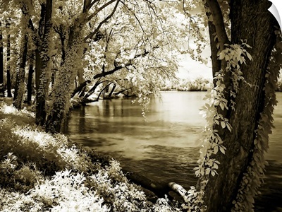 Spring on the River III