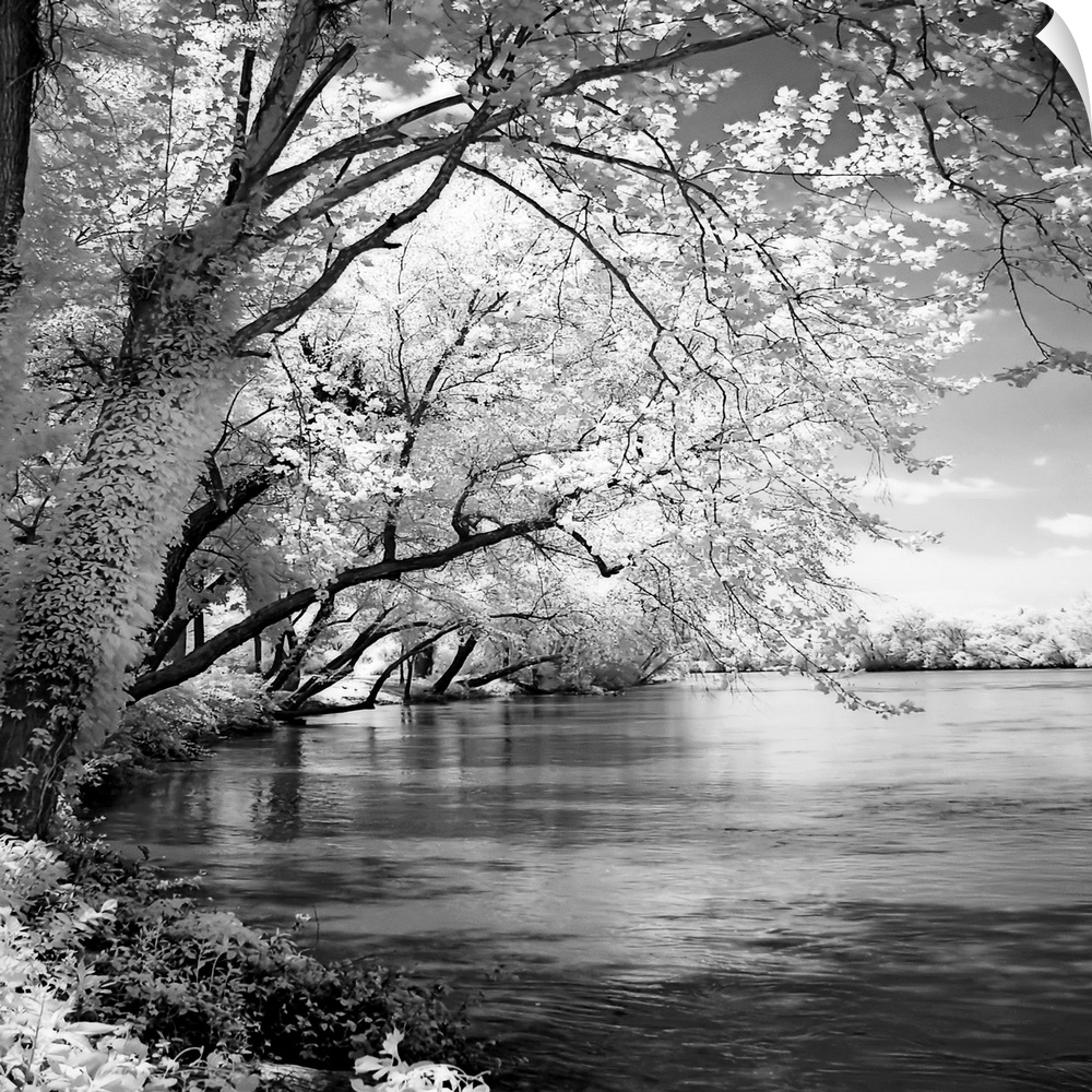 This is a high contrast monochromatic landscape photograph of a river scene available as square shaped wall art.
