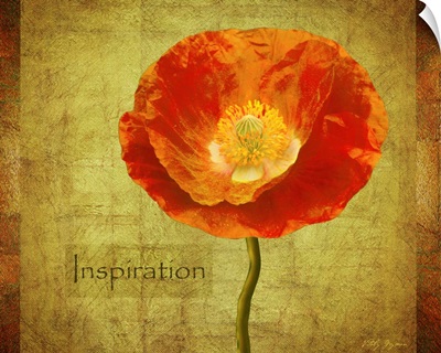 Sun Poppy Inspiration