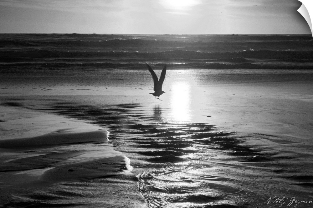 A single bird flies close to the water pools that have collected in the sand as the sun begins to set near the horizon.