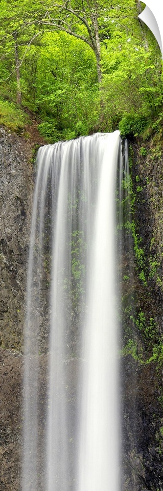 A tall waterfall in a green forest in Oregon.