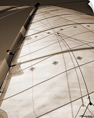 Windward Sail I