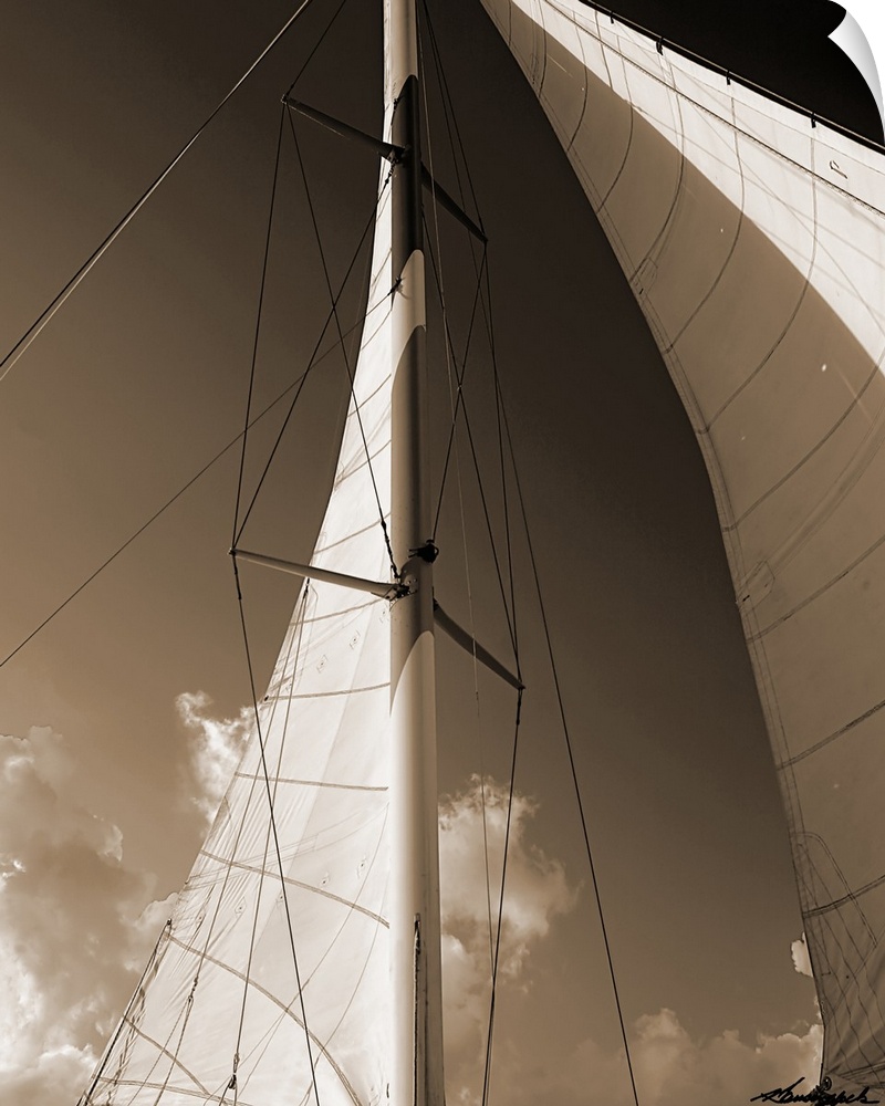 Windward Sail IV