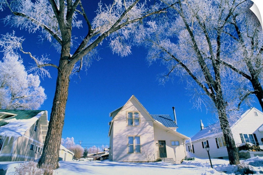 USA,Colorado,Steamboat Springs, winter snow