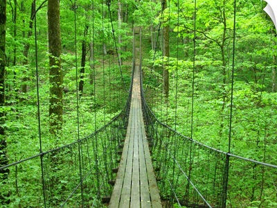 A cool suspension bridge in Hidden Falls Salvation Army Camp.