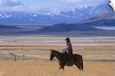 A cowboy riding his horse in a yellow field alone
