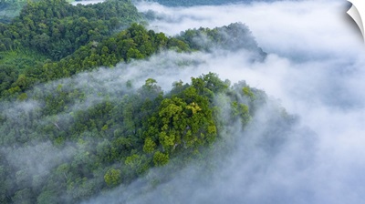 Aerial View Of Morning Mist At Tropical Rainforest Mountain