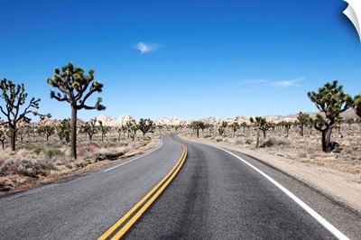 An empty street in the middle of the dessert, California, USA