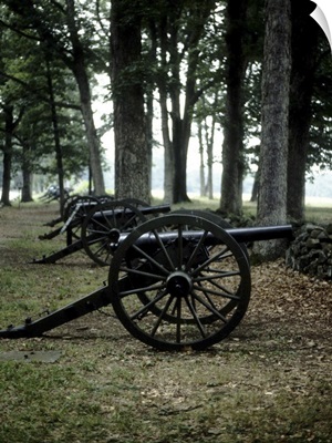 Antique cannons in woods