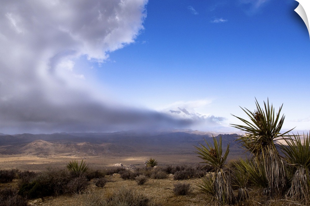 A storm is approaching over the desert in Joshua Tree National Park. From the top of Ryan Mountain, Joshua Tree National P...