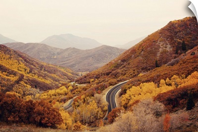 Autumn colored trees along mountain road.