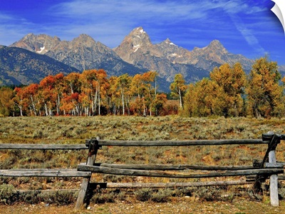 Autumn landscape colors in Grand Teton National Park in Jackson Hole, Wyoming