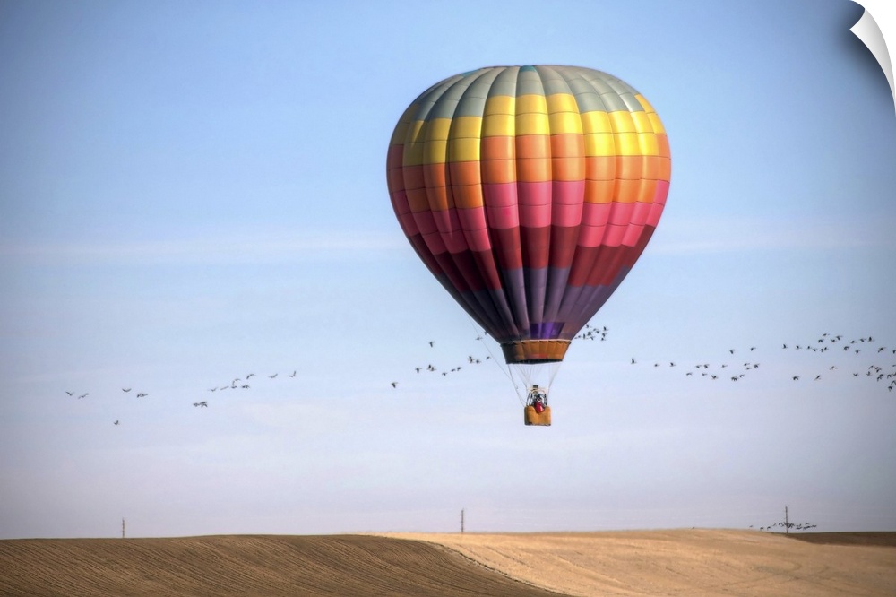 Balloon over winter field in Colorado.