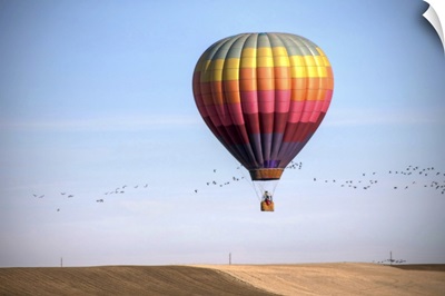 Balloon over winter field in Colorado.