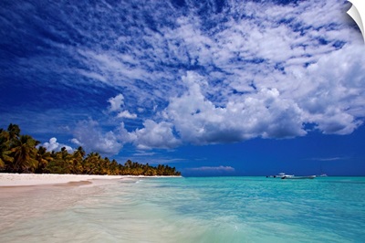 Beach, Saona Island, Dominican Republic