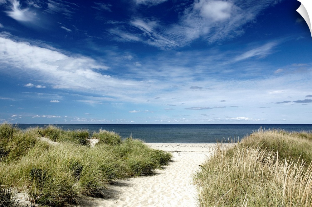 Photograph of sandy walkway lined by tall grass leading to a beach and calm ocean under cloudy skies.