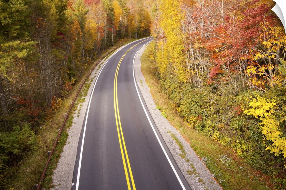 Beautiful curvy road located in Blue Ridge Parkway, North Carolina during fall season.