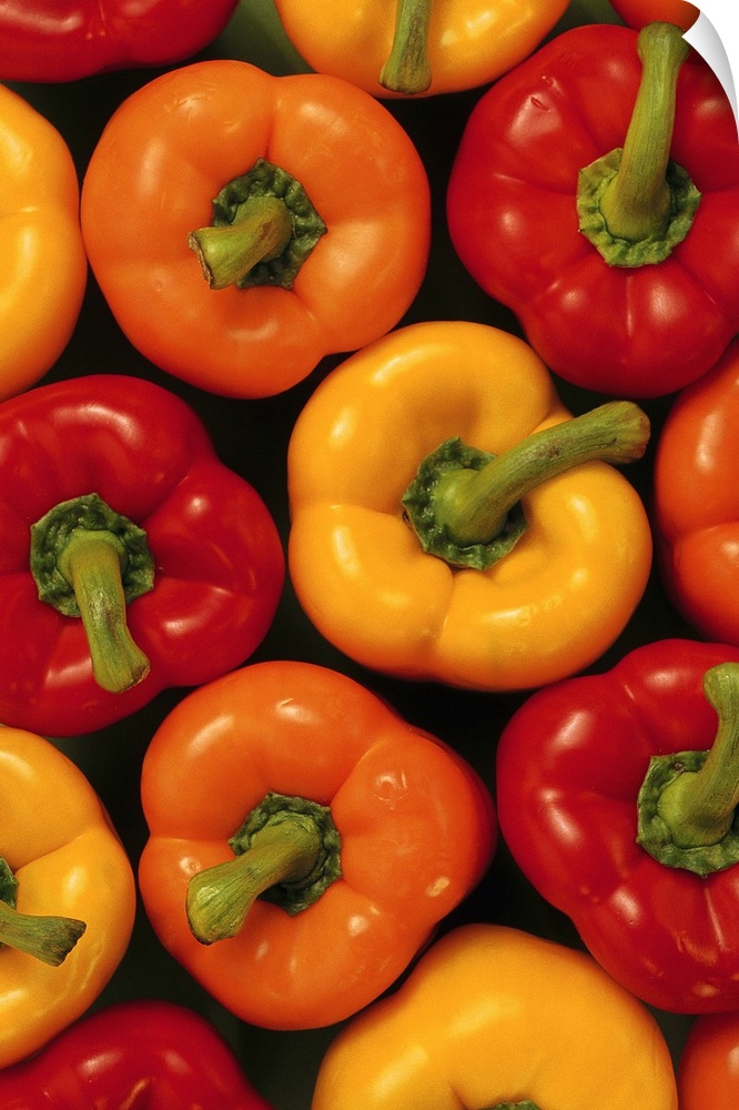 Overhead shot of a group of three varieties of freshly picked bell peppers in summer colors.
