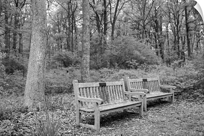Bench in the park. Connetquot River State Park, Long Island, New York