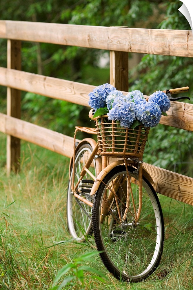 Photograph of vintage bicycle with a wooden basket filled with flowers leaning against a wooden fence.