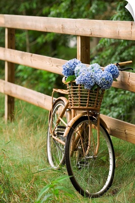 Bike with basket of flowers