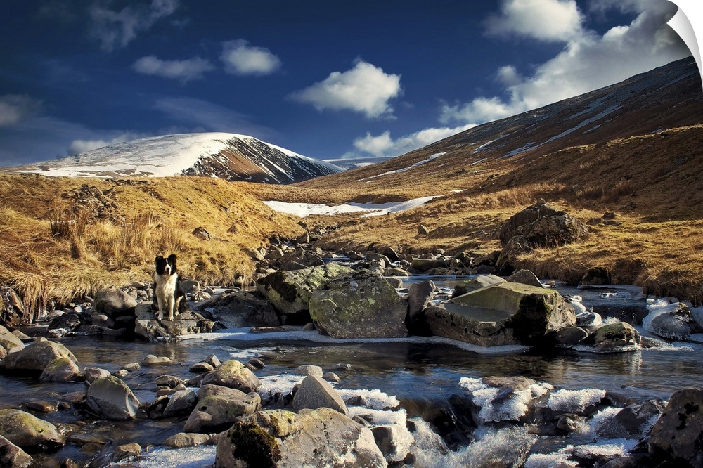 Late winter in the picturesque snowcapped rolling hills of Talla Linnfoots, in the Tweeddale district of the Scottish Bord...