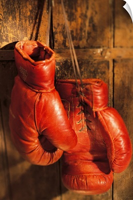 Boxing gloves hanging on rustic wooden wall