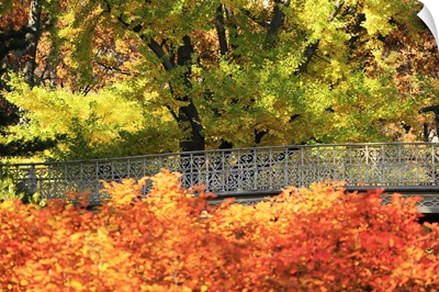 Bridge in New York City's Central Park, surrounded by fall foliage