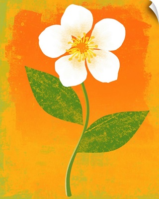 Bright Flower graphic poster illustration