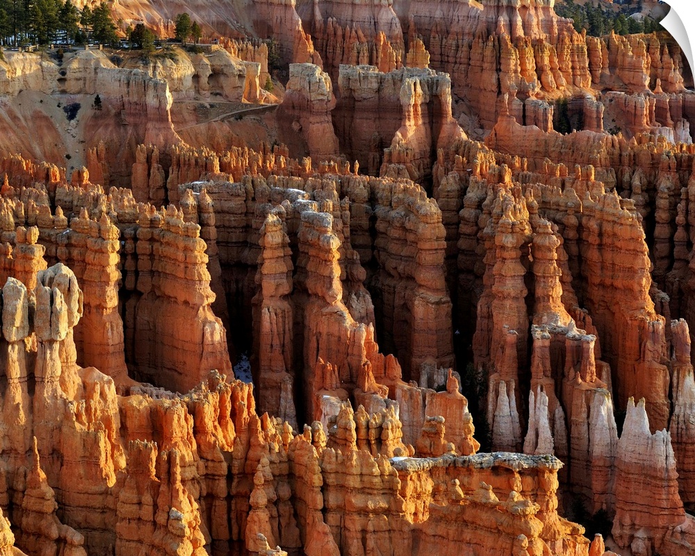 Bryce Canyon National Park Just after Sunrise from Inspiration point on a Crisp February day.