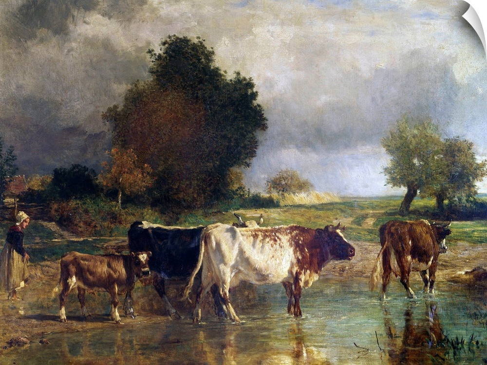 Calf and cows at the marl, called the watering. Painting by Constant Troyon (1810-1865), 19th century. 0,78 x 1,03 m. Louv...