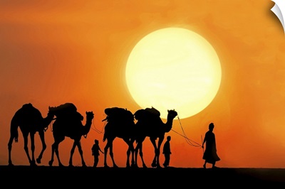 Camel ride at sunset.