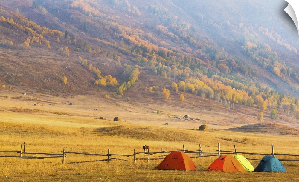 Colorful camping tents on hillside of Hemu in misty morning with mountains covered by magnificent colors of fall.