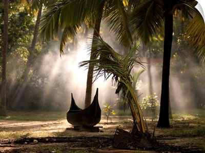 Canoe under palm trees in Kerala, India