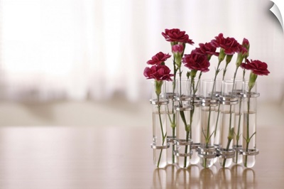 Carnations flowers kept in glasses on table.
