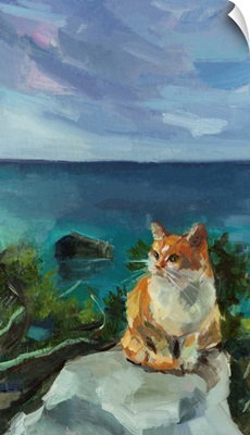 Cat And Sea
