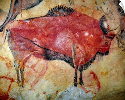 Cave Painting Of Bison At Altamira