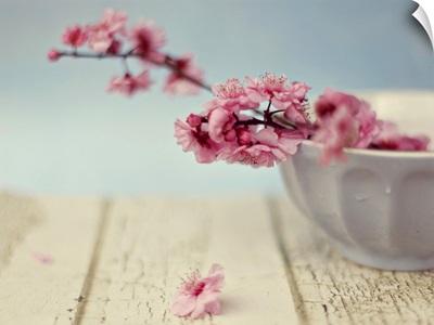 Cherry blossoms in bowl.