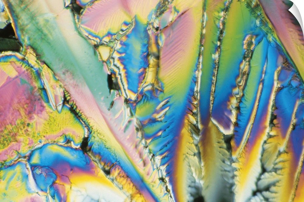 Citric acid crystals magnified 100x