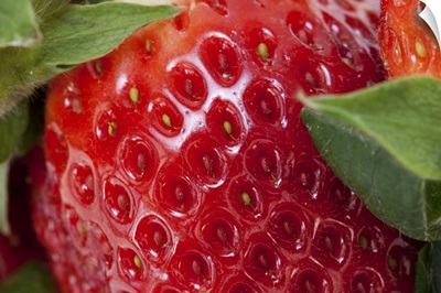 Close-up of a Strawberry