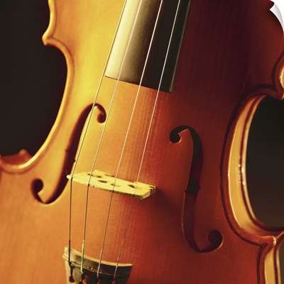 close-up of a violin