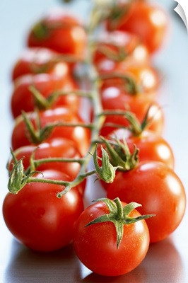 Close-up of cherry tomatoes