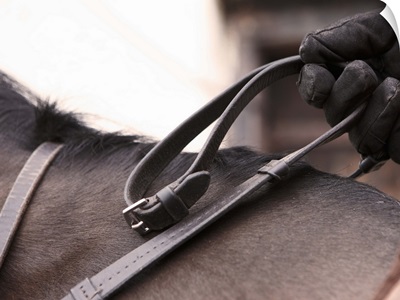 Close-up of hand holding reins of horse