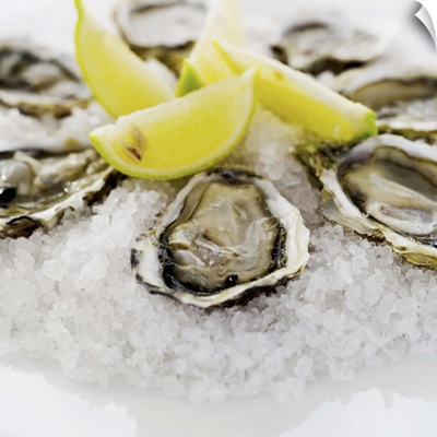 close-up of oysters served on crushed ice