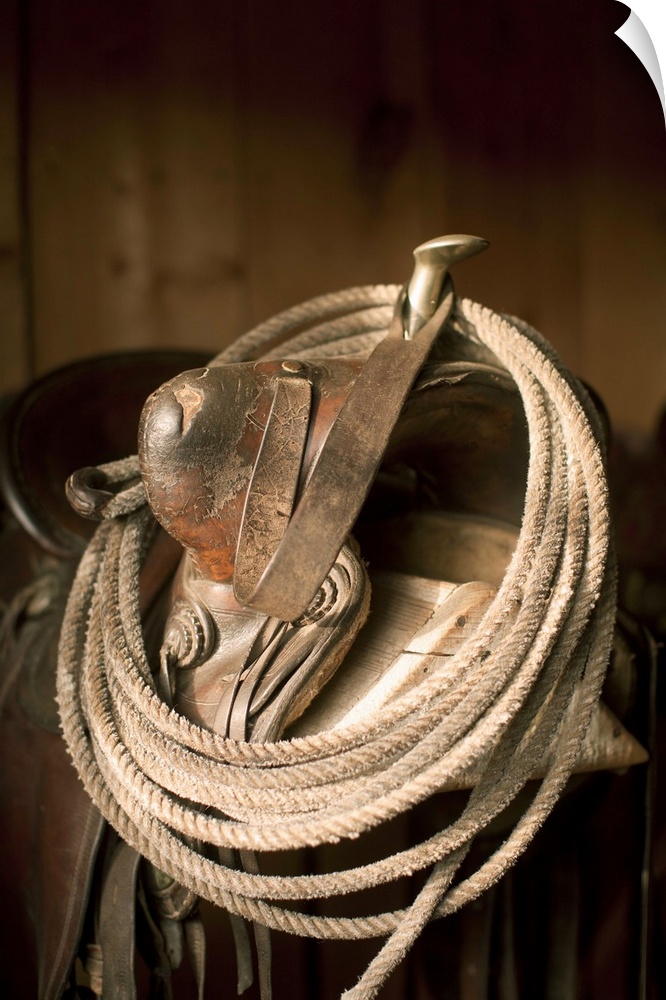 USA, Colorado, Close-up of saddle with rope