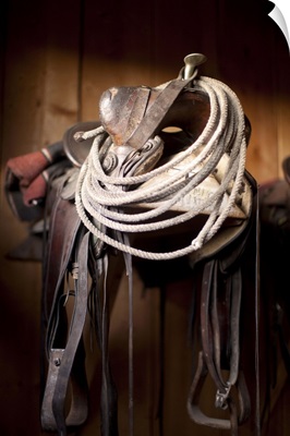 Close-up of saddle with rope, Colorado