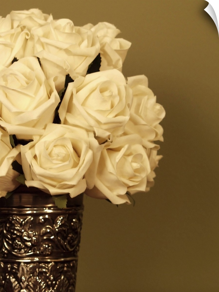 Close-up of White Roses in a vase