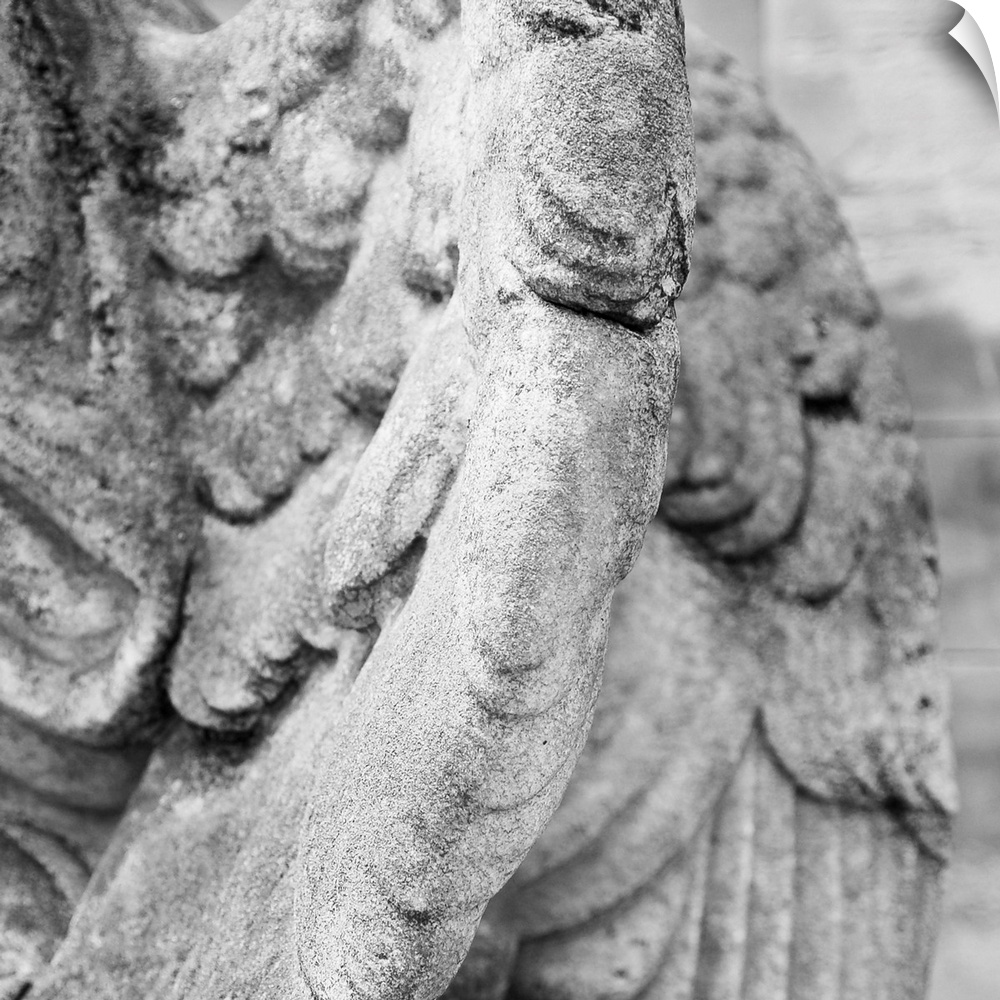 Close up of wing of statue, Germany.