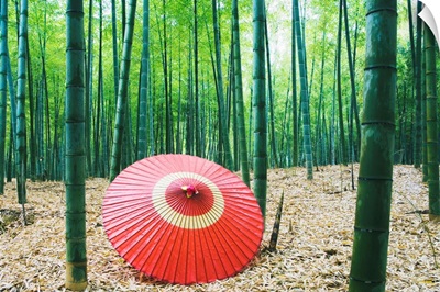 Coarse Oilpaper Umbrella In Bamboo Forest, Muko City, Kyoto Prefecture, Japan