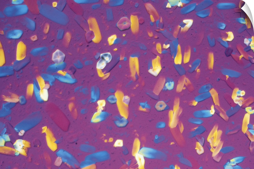Cobalt chloride crystals magnified 40x
